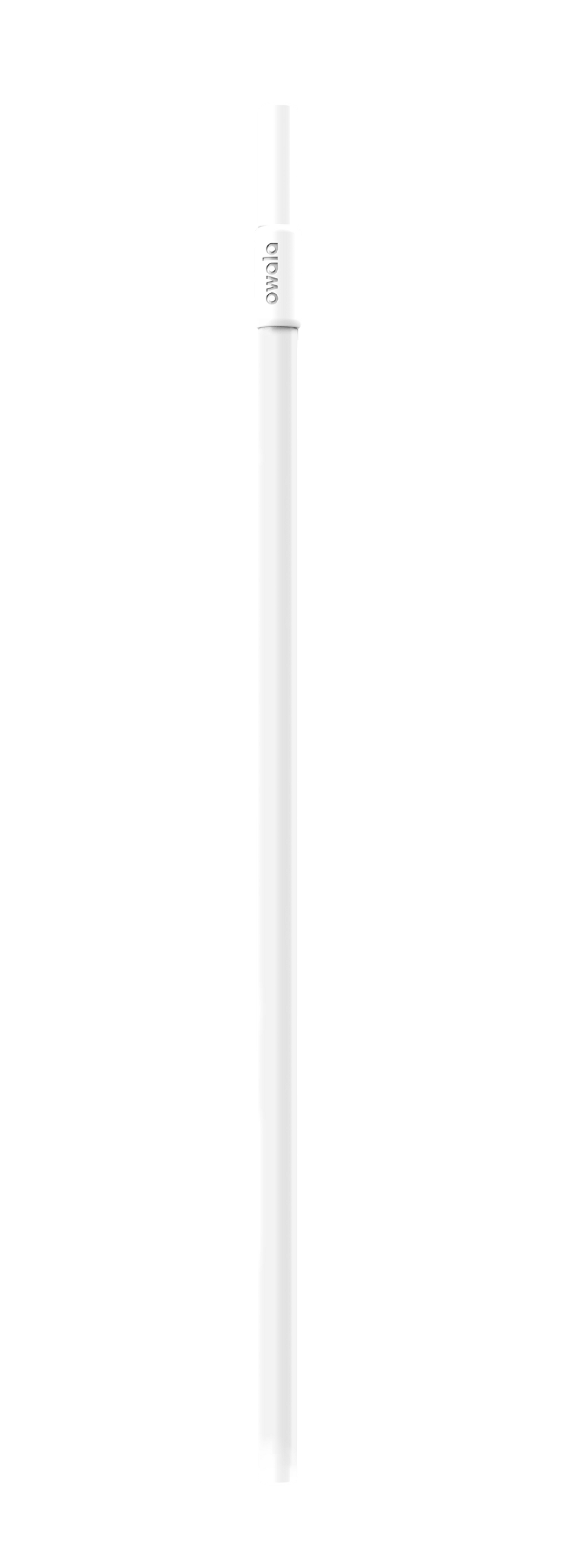 Replacement Straws